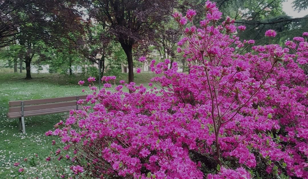 Un cuore che ascolta, accoglie e serve: la storia della nostra Congregazione